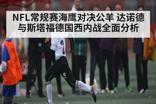 NFL常规赛海鹰对决公羊 达诺德与斯塔福德国西内战全面分析